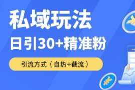 私域金融课变现玩法，日引30 精准流量，转化率50%日销5-10单，一单188