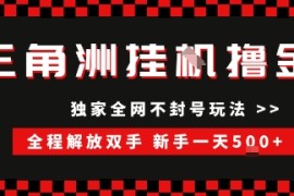 三角洲全自动挂G撸金，新手轻松一天5张 ，无脑搬砖【揭秘】