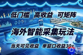海外智能采集玩法，低门槛高单价可矩阵，当天可见收益，单窗口30 