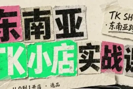 东南亚TK小店实战课(基础 进阶)