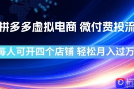 拼多多虚拟电商，微付费投流玩法，每人可开四个店，轻松月入过1W【揭秘】