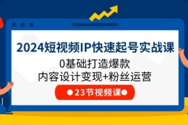 （11493期）2024短视频IP快速起号实战课，0基础打造爆款内容设计变现 粉丝运营(23节)