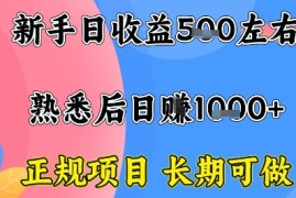 全年可变现项目，收益高无门槛，正规项目，长期可做，一天收益1k 一台电脑在家创业【揭秘】
