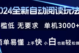 （12063期）2024全新自动阅读玩法 全新技术 全新玩法 单机3000  小白也能玩的转 也…