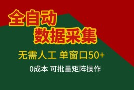 全自动数据采集，无需人工，单窗口50 ，0成本可批量矩阵操作【揭秘】