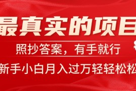 （11362期）最真实的项目，照抄答案，有手就行，新手小白月入过万轻轻松松