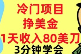 冷门项目挣美刀，0门槛，1天收入80刀，3分钟学会,这个方法要学会