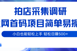拍店采集调研，全网首码项目，简单易操作， 小白也能轻松上手，轻松日赚500 