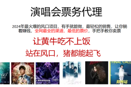 2024年最火爆风口项目，演唱会票务代理，日入2000 ，一部手机就能搞定！