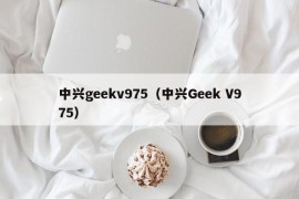 中兴geekv975（中兴Geek V975）