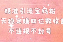 精准引流宝妈粉每天稳定赚四位数收益小白可以操作