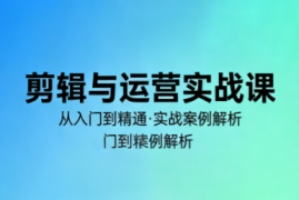 林大·剪辑与运营实战课(更新2026)