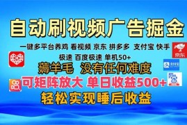 （13223期）多平台 自动看视频 广告掘金，当天变现，收益300 ，可矩阵放大操作