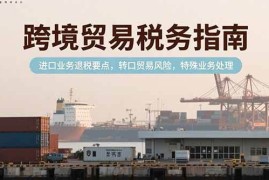（15381期）跨境贸易税务指南，进口业务退税要点，转口贸易风险，特殊业务处理