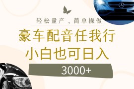 （12206期）不为人知的暴力小项目，豪车配音，日入3000 