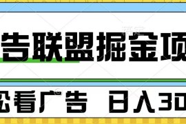 广告联盟 独家玩法轻松看广告 每天300  可批量操作