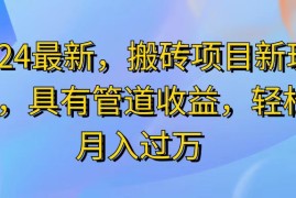 （11616期）2024最近，搬砖收益新玩法，动动手指日入300 ，具有管道收益