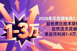 2026年无货源电商2.0：超低费比技术突破自然流天花板，单店月利润1-3万元