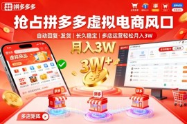 抢占拼多多虚拟电商风口：自动回复、发货，长久稳定，多店运营轻松月入3W 【揭秘】