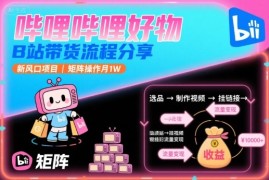 哔哩哔哩好物，B站带货流程分享，新风口项目，矩阵操作月1W