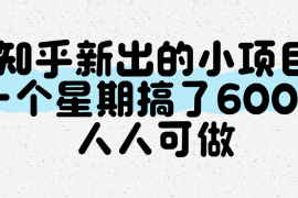知乎新出的小项目，一个星期搞了600 ，人人可做