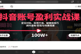 抖音账号盈利实战课，定位对标、标签打造、破播放技巧，讲涨粉变现与场景搭建