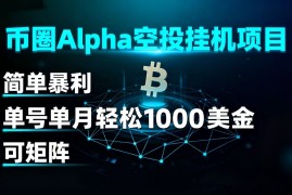 币圈alpha空投挂机项目 简单暴利 单号单月轻松1000 美金 可矩阵