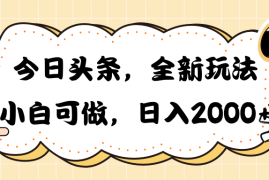 （10228期）今日头条新玩法掘金，30秒一篇文章，日入2000 