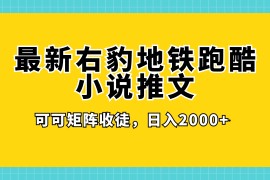 最新右豹地铁跑酷小说推文变现，日入 2000 （附 1058G 素材）