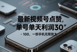 最新视频号点赞，单号单天利润30-1张， 一部手机无限放大