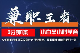 （12721期）兼职王者，3分钟1条无脑批量操作，新人小白半小时学会，长期稳定 一天200 