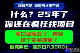 26年，请不要疯狂的找项目做了！卖项目才是真的稳賺不赔，看完照做，保底日入1k 【揭秘】