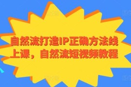 自然流打造IP正确方法线上课，自然流短视频教程