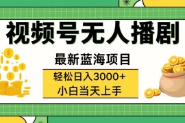 （12128期）视频号无人播剧，轻松日入3000 ，最新蓝海项目，拉爆流量收益，多种变…