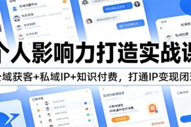 个人影响力打造实战课：公域获客 私域IP 知识付费，打通IP变现闭环