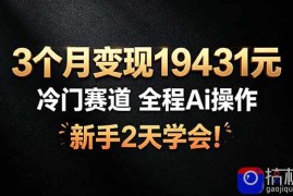 3个月变现19431元，冷门赛道 全程Ai操作，新手2天学会！