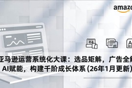 （17103期）亚马逊运营系统化大课：选品矩阵，广告全解，AI赋能，构建千阶成长体系(26年1月更新)