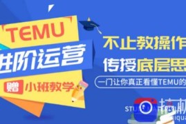 阿卡林·TEMU运营课程(基础 进阶)