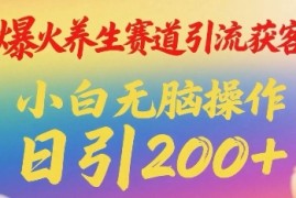 爆火养生赛道引流获客，小白无脑操作，日引200 