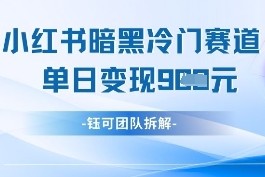 小红书冷门”暗黑”赛道，单日收益多张