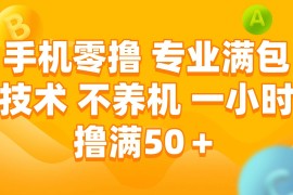 （15059期）手机零撸 专业满包技术 不养机 一小时撸满50 