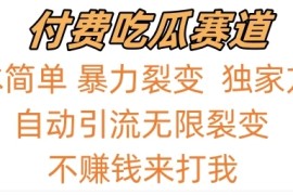 0成本简单暴力裂变，吃瓜付费赛道，不赚钱你来打我
