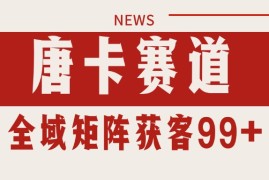 唐卡赛道私域引流获客 自热矩阵SOP日引流99 精准客资