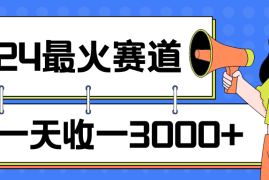 2024最火赛道，一天收一3000 ，拉爆全平台流量，新手小白一看就会