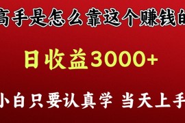 看高手是怎么赚钱的，一天收益至少3000 以上，小白当天上手