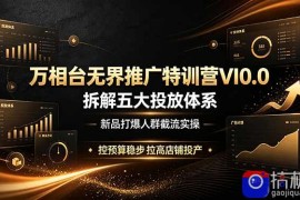 万相台无界推广特训营VI0.0，拆解五大投放体系，新品打爆人群截流实操，控预算稳步拉高店铺投产