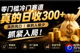 零成本冷门赛道，真的日300 真风口，做得人极少！赶紧入局，超级简单！