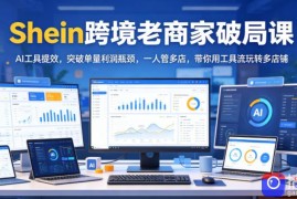 Shein跨境老商家破局课，AI工具提效，突破单量利润瓶颈，一人管多店，带你用工具流玩转多店铺
