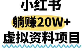 小红书操作虚拟资料，搬运工模式躺挣20W ，互联网的低成本路子！