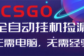 （16619期）【副业好项目】全球火爆游戏CSGO自动捡漏，新手小白日入500 